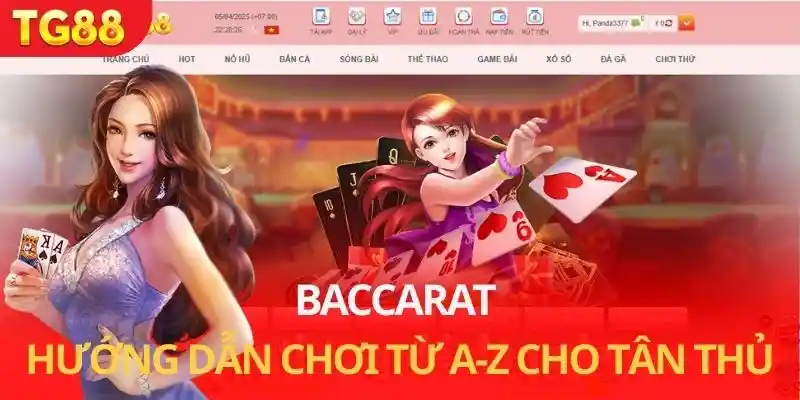 baccarat TG88