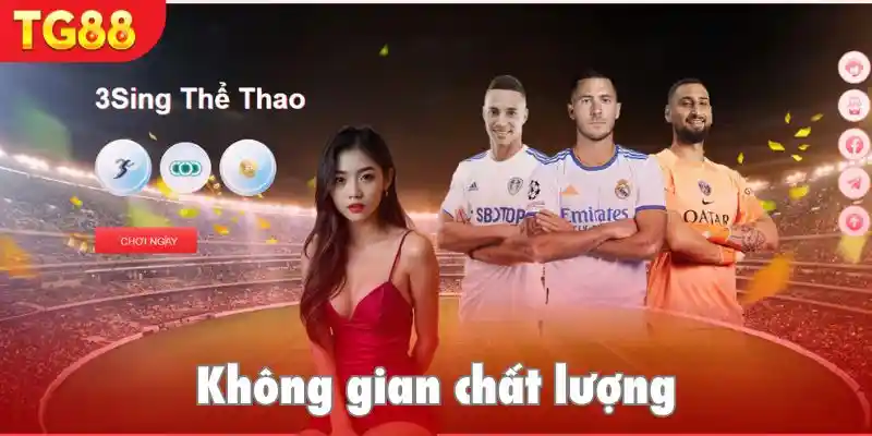 Không gian cược được chuyên gia đánh giá cao