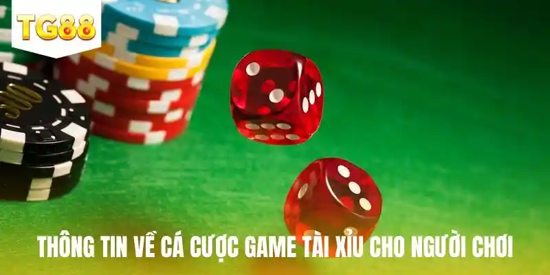 Thông tin về cá cược game tài xỉu Tg88 cho người chơi