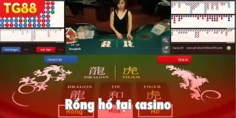 Trải nghiệm Rồng Hổ siêu thú vị