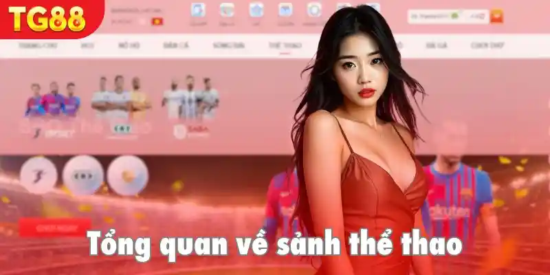 Vài nội dung cơ bản về thể thao TG88